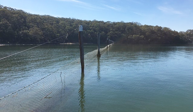 Watertight Recitify Longstanding Issue For Georges River Council Watertight Group